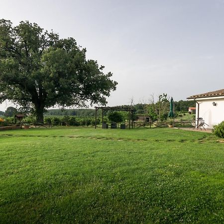 Agriturismo Il Poggio Vetralla Exterior photo