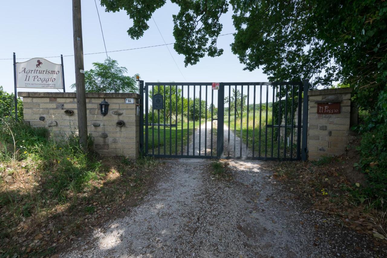 Agriturismo Il Poggio Vetralla Exterior photo